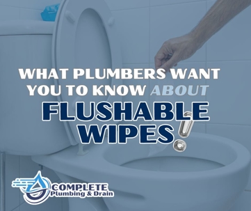 What Plumbers Want You to Know About Flushable Wipes branded image with a hand putting a wipe in the toilet.